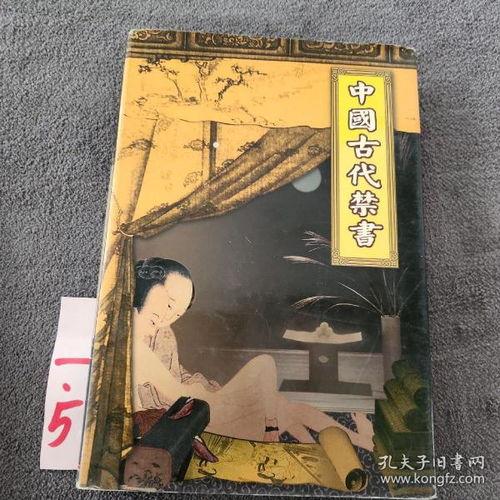 古代禁书在线观看,穿越时空的禁锢与智慧  第1张